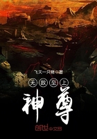 �޵���������