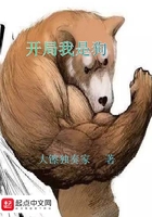 �������ǹ�