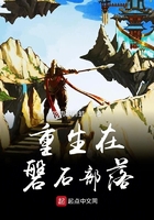 ��������ʯ����